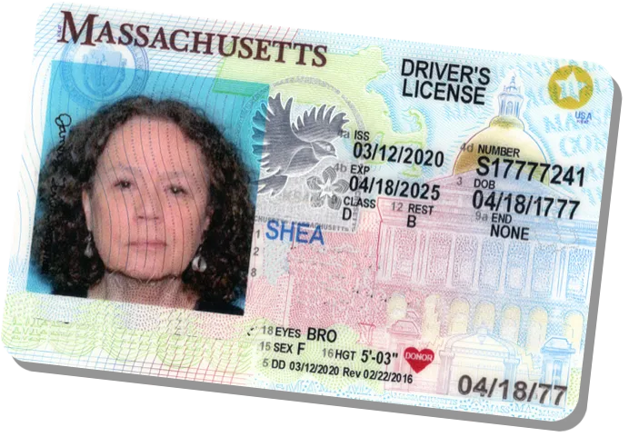 Karen Shea license