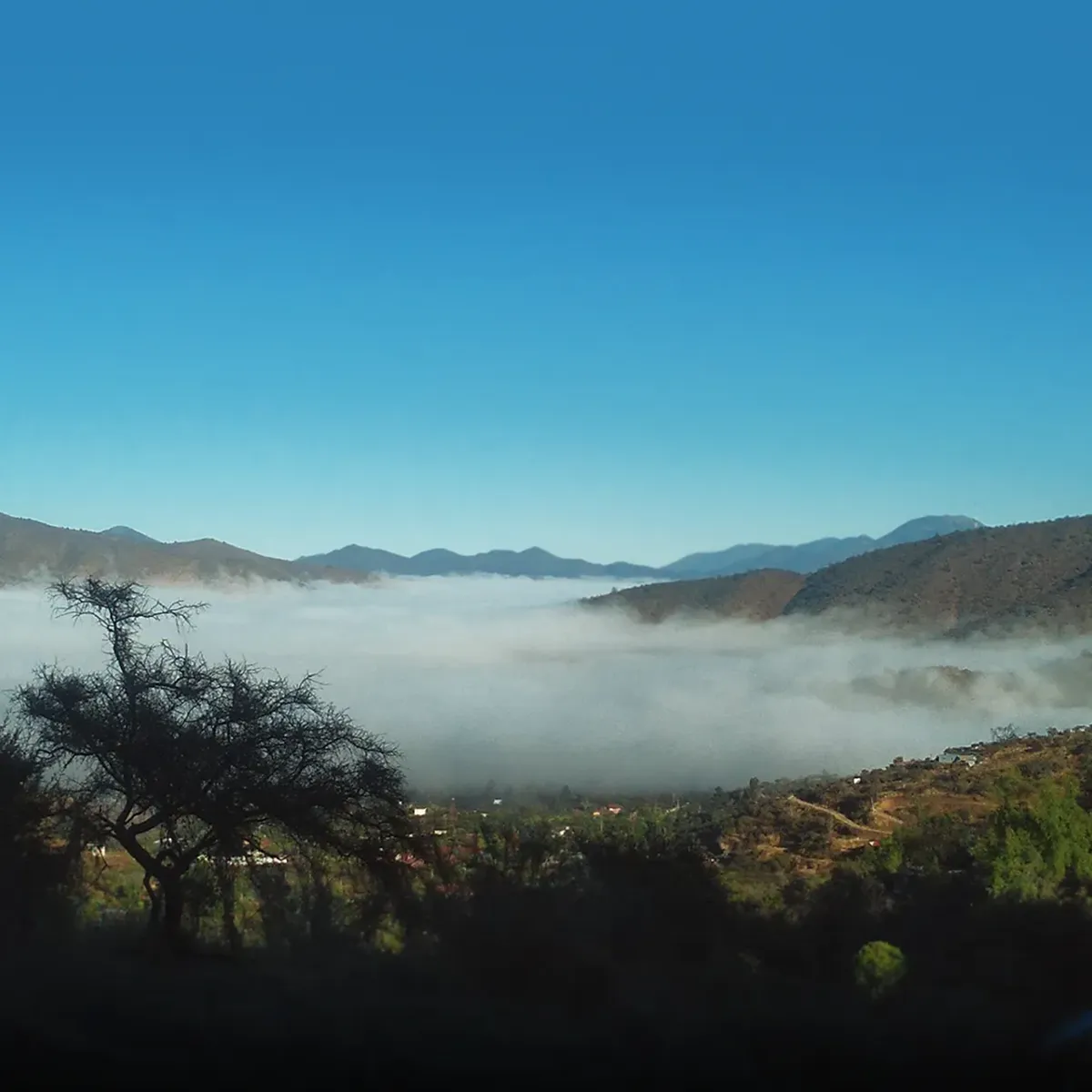 aerial view of rolling fog between mountains